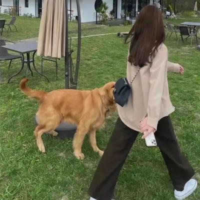 情因孽果